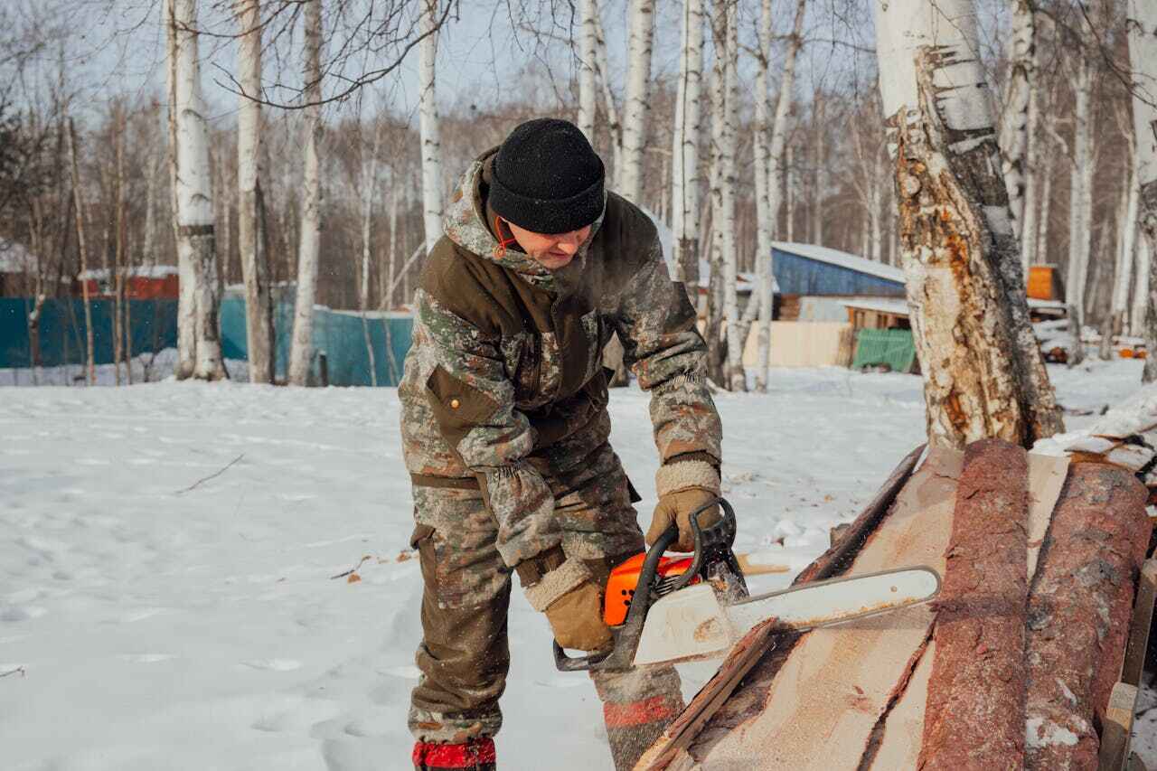 Best Tree Trimming Near Me  in Clayton, GA